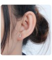 Stone Set Tortoise Shaped Stud Earrings STF-51